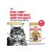 ROYAL CANIN Cat food moist Main Coon Maine Kun 85 g 28 pcs - Buy Online on GoSupps.com