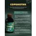 Art Life Sorbiotik - detox restoration of the liver and intestines - Buy Online on GoSupps.com