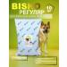 Bisco regular for dogs of large and medium rocks 10 kg