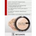 RELOUIS Facial powder compact Pro icon look Satin tone 005 - Buy Online on GoSupps.com