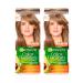 Garnier Hair dye 7.1 alder 2 pcs - Buy Online on GoSupps.com