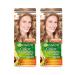 Garnier Hair dye cream 8 wheat 2 pcs - Buy Online on GoSupps.com