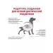 ROYAL CANIN GastroinTestinal food (gastrointestinal) for dogs 2 kg - Buy Online on GoSupps.com