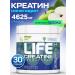 Tree of Life Set of sports nutrition Heiner and Creatine - Buy Online on GoSupps.com