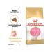 ROYAL CANIN Royalcanin SPhynx Kitten food for kittens por. Sphinx 2kg - Buy Online on GoSupps.com