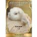 M RRAKECH ROYAL SPA Hair shampoo Women's Salusfant - Buy Online on GoSupps.com