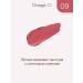 DIVAGE Lipstick moisturizing cream Matte Sensuality 09 - Buy Online on GoSupps.com