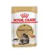 Royal Canin Wet feed for Maine Coons (in sauce) 85g x 28pcs - Buy Online on GoSupps.com