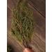 Herbalists of Siberia Artysh shaman grass bundle 1 pc 100 g