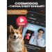cosmodog Dry food for dogs 10 kg hypoallergenic with lamb - Buy Online on GoSupps.com