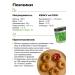 Prebiosvit Sugar -substituter Stevia (Prebiosweet Stevia) 300 g - Buy Online on GoSupps.com