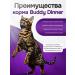BUDDY DINNER Dry food for cats with turkey 1 kg - Buy Online on GoSupps.com