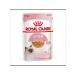 ROYAL CANIN Kitten Wet food (spider) for kittens in jelly 28 x 85 g - Buy Online on GoSupps.com