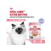 ROYAL CANIN Kitten Wet food (spider) for kittens in jelly 28 x 85 g - Buy Online on GoSupps.com
