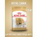 ROYAL CANIN Pug food dry for adult dogs pugs 1.5 kg