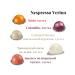 Nespresso Set of coffee capsules Nepresso Wert - Buy Online on GoSupps.com