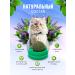 NSI Store Cotton Cat Mint Ball toy toy - Buy Online on GoSupps.com