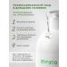 levrana Fat shampoo at the roots is restored 1000 ml - Buy Online on GoSupps.com
