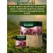 Greenfield Black tea with thyme Spring Melody in bags 100pcs - Buy Online on GoSupps.com