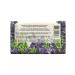Nesti Dante Soap Tuscanskaya Lavender 250g - Buy Online on GoSupps.com