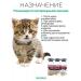 Vetosporin G Probiotic for kittens help save the kittens - Buy Online on GoSupps.com