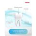 LACALUT Toothpaste Pure Calcium 2pcs - Buy Online on GoSupps.com