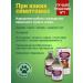with a small shoe Vetosporin Probiotic help the aging dog 200 ml - Buy Online on GoSupps.com