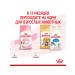 ROYAL CANIN Dry Kitten 36 food for kittens 0.3 kg 2 pcs - Buy Online on GoSupps.com