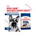 ROYAL CANIN Dry feed maxi adult for dogs of large rocks 3 kg 2 pcs - Buy Online on GoSupps.com