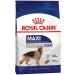 ROYAL CANIN Dry feed maxi adult for dogs of large rocks 3 kg 2 pcs - Buy Online on GoSupps.com
