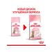 ROYAL CANIN Dry Kitten Sterilized feed sterilized kittens 2 kg 2pcs - Buy Online on GoSupps.com