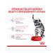ROYAL CANIN Dry Kitten Sterilized feed sterilized kittens 2 kg 2pcs - Buy Online on GoSupps.com