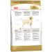 ROYAL CANIN Dry Labrador Retriever food for dogs Labrador 3 kg 2 pcs - Buy Online on GoSupps.com