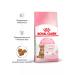 ROYAL CANIN Dry Kitten Sterilized feed sterilized kittens 0.4 kg 2pcs - Buy Online on GoSupps.com