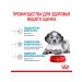 ROYAL CANIN Dry Medium Puppy for Medium Builds 3 kg 2 pcs - Buy Online on GoSupps.com