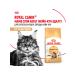 ROYAL CANIN Dry Main Coon Feed Main Kun 4 kg 2 pcs - Buy Online on GoSupps.com