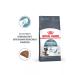 ROYAL CANIN Dry Hairball Care Feed for cats 0.4 kg 2 pcs - Buy Online on GoSupps.com