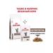 ROYAL CANIN GastroinTestinal food for cats gastrointestinal 2 kg 6 pcs - Buy Online on GoSupps.com