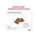 ROYAL CANIN GastroinTestinal food for cats gastrointestinal 2 kg 4 pcs - Buy Online on GoSupps.com