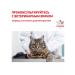 ROYAL CANIN GastroinTestinal Moderate Calorie food for cats 2 kg 6 pcs - Buy Online on GoSupps.com