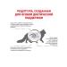ROYAL CANIN GastroinTestinal Moderate Calorie food for cats 2 kg 6 pcs - Buy Online on GoSupps.com