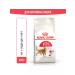 ROYAL CANIN Dry Fit 32 food for active cats 0.4 kg 2 pcs - Buy Online on GoSupps.com