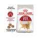 ROYAL CANIN Dry Fit 32 food for active cats 0.4 kg 2 pcs - Buy Online on GoSupps.com