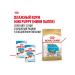 ROYAL CANIN Dry food chihuahua puppy for chihuahua puppies 0.5 kg 2 pcs - Buy Online on GoSupps.com