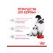 ROYAL CANIN Dry feed Mother & Babycat for kittens and cats 0.4 kg 2 pcs - Buy Online on GoSupps.com