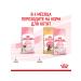 ROYAL CANIN Dry feed Mother & Babycat for kittens and cats 0.4 kg 2 pcs - Buy Online on GoSupps.com