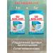 ROYAL CANIN Dry Mini Starter feed minor puppies mini starter 1 kg 2 pcs - Buy Online on GoSupps.com
