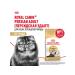 ROYAL CANIN Dry Persian Adult for cats Persian 2 kg 2 pcs - Buy Online on GoSupps.com