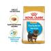 ROYAL CANIN Fodder yorkshire terrier puppy yorkshire terrier 0.5 kg 2 pcs - Buy Online on GoSupps.com