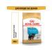 ROYAL CANIN Fodder yorkshire terrier puppy yorkshire terrier 0.5 kg 2 pcs - Buy Online on GoSupps.com